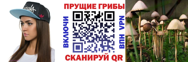 Псилоцибиновые грибы прущие грибы  кракен онион  Ардон 